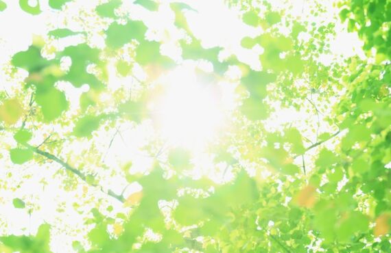 いわきり鍼灸接骨院で骨盤矯正・産後矯正を受けられた患者様のお声です！！